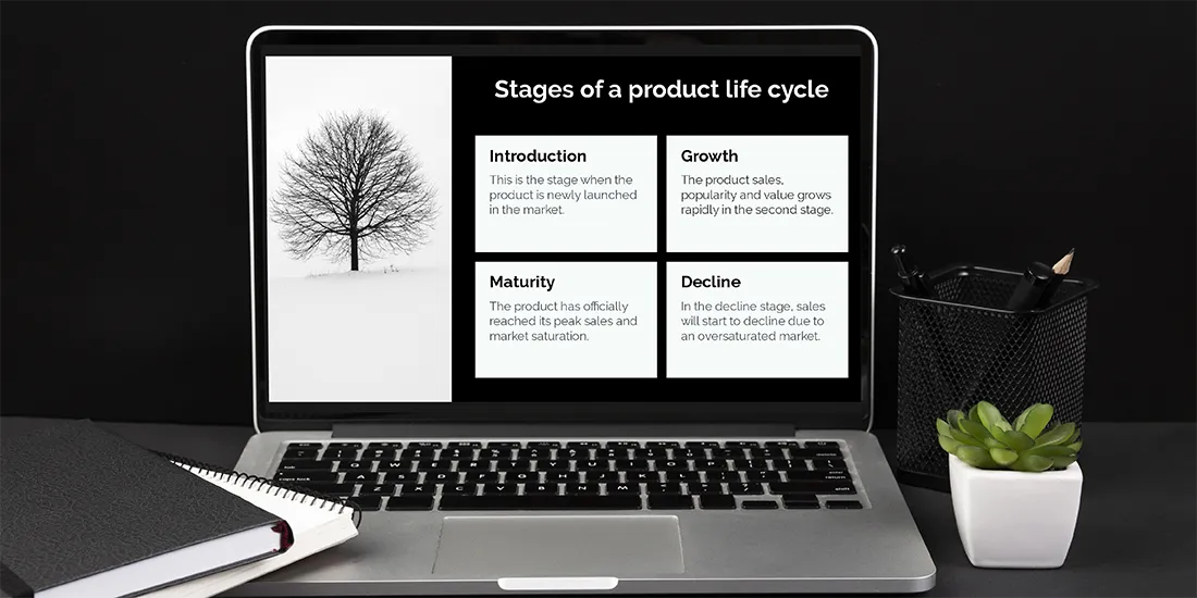 Stages of the Product Life Cycle and How to Present Them